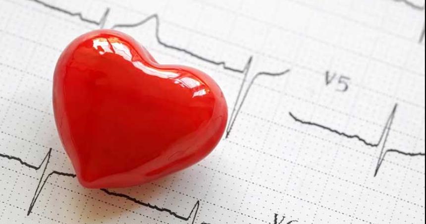 Por queacute el electrocardiograma es clave para evaluar la salud del corazoacuten