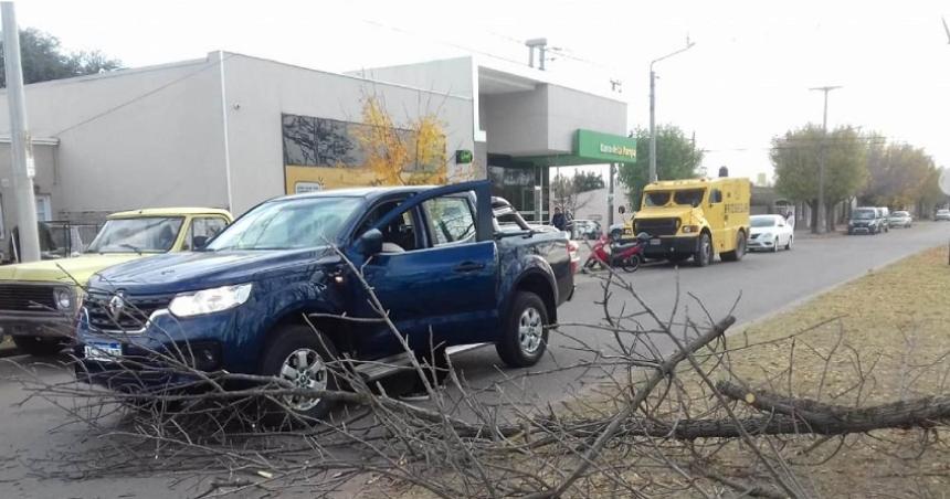 Toay- podaban un aacuterbol y una rama cayoacute sobre una camioneta
