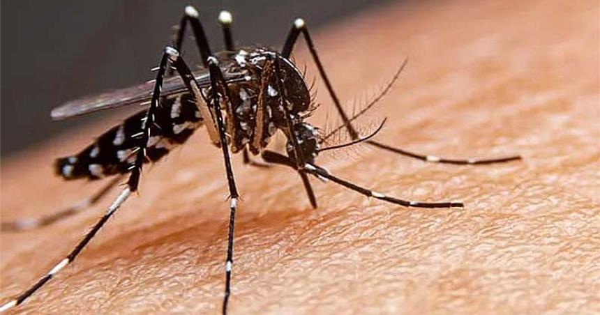 Primer caso autoacutectono de dengue en la provincia