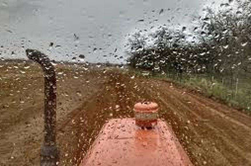 Las abundantes lluvias  en la regioacuten pampeana le cambiaron la cara al campo