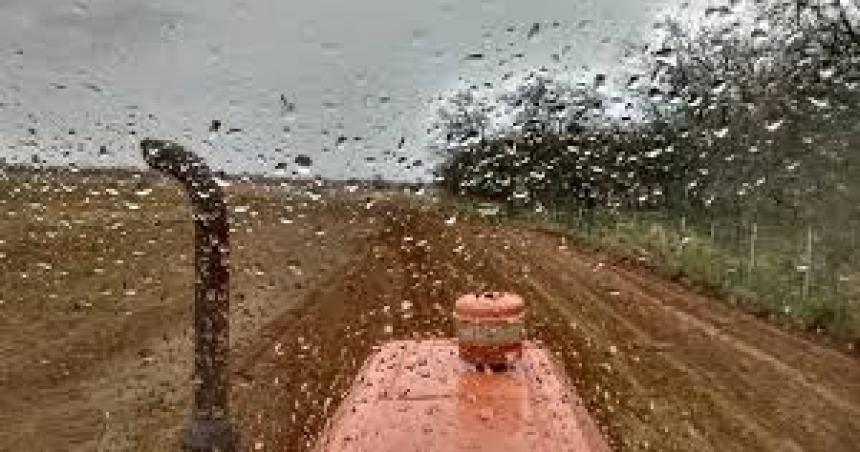 Las abundantes lluvias  en la regioacuten pampeana le cambiaron la cara al campo