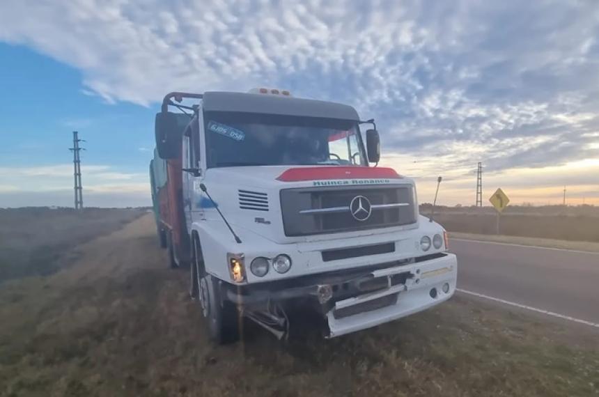 Un micro y un camioacuten embistieron animales sueltos en la ruta provincial 1