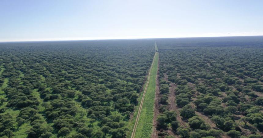 Aportes no Reintegrables para Planes de Manejo y Conservacioacuten de Bosques