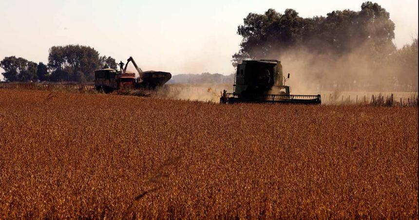 No estamos atacando al sector agropecuario