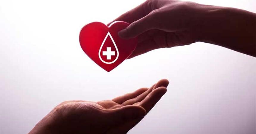 Donar sangre- la importancia de poner el brazo y salvar vidas