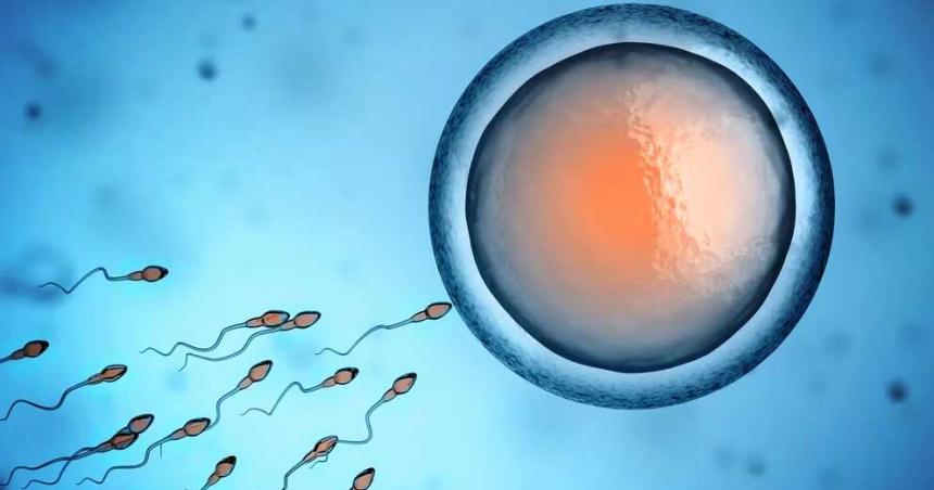 Nacioacute el primer bebeacute del mundo concebido con un nuevo meacutetodo de fertilidad