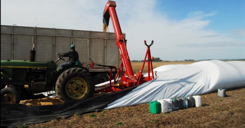 Almacenamiento de grano de maiacutez en silo bolsa