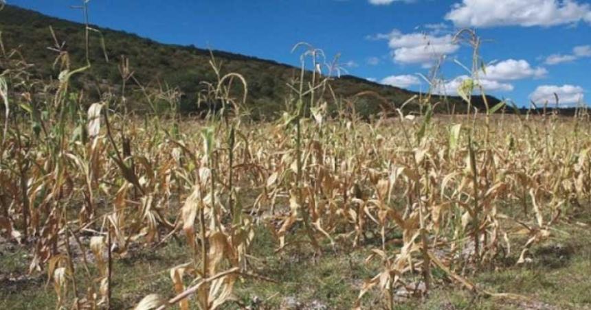 Fuerte caiacuteda de la actividad econoacutemica en abril por la sequiacutea