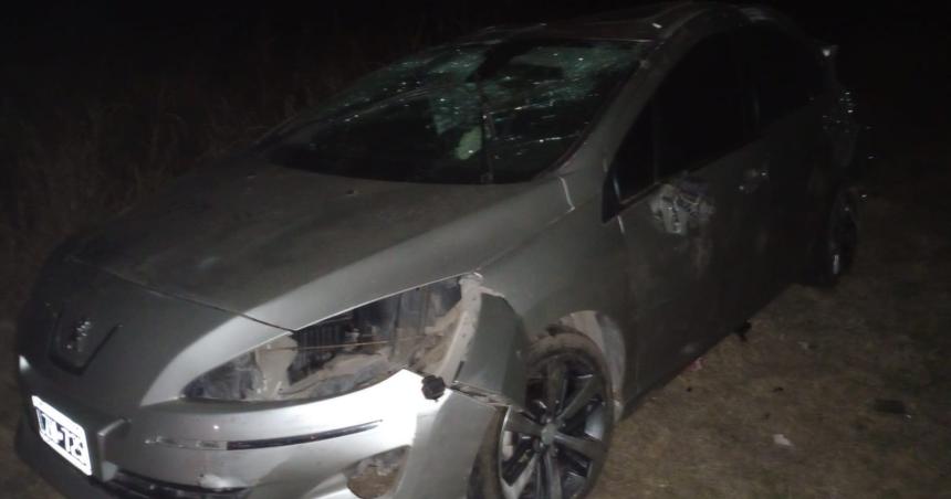 Se le cruzoacute un perro y volcoacute en plena Ruta Provincial 1