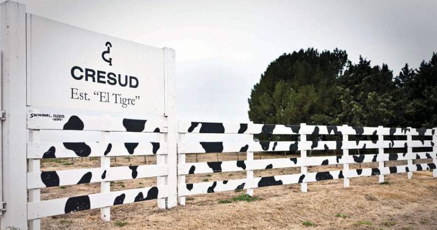 Cresud sale de compras y paga US 45 millones por un campo en La Pampa
