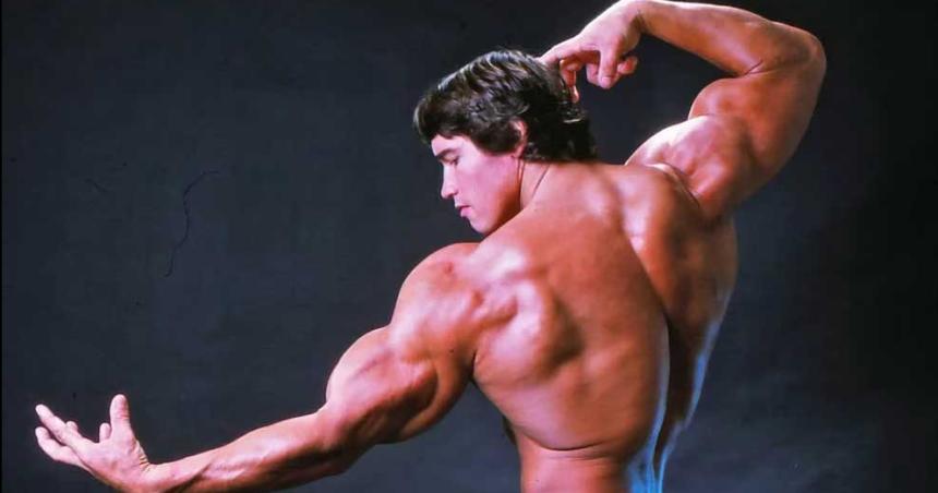 Coacutemo ganar muacutesculo y perder grasa seguacuten Arnold Schwarzenegger