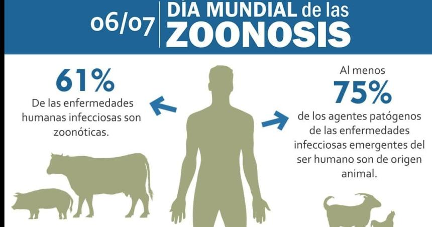 Se conmemora el Diacutea de la Zoonosis