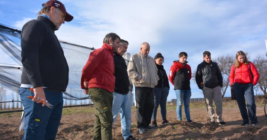 Capacitan en la poda de vintildeedos para vigorizar las plantas
