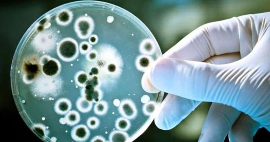 Detectan un caso de Streptococcus pyogenes en Pico