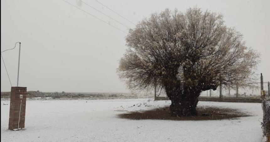 Intensa nevada en Chos Malal 