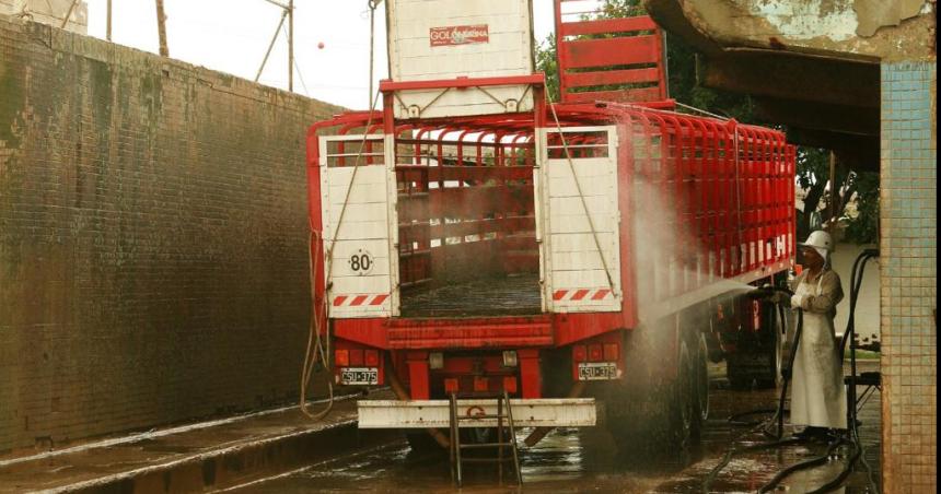 La Agriacutecola construiraacute un lavadero de camiones
