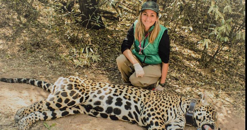Reconocida veterinaria de fauna silvestre trabaja en La Pampa
