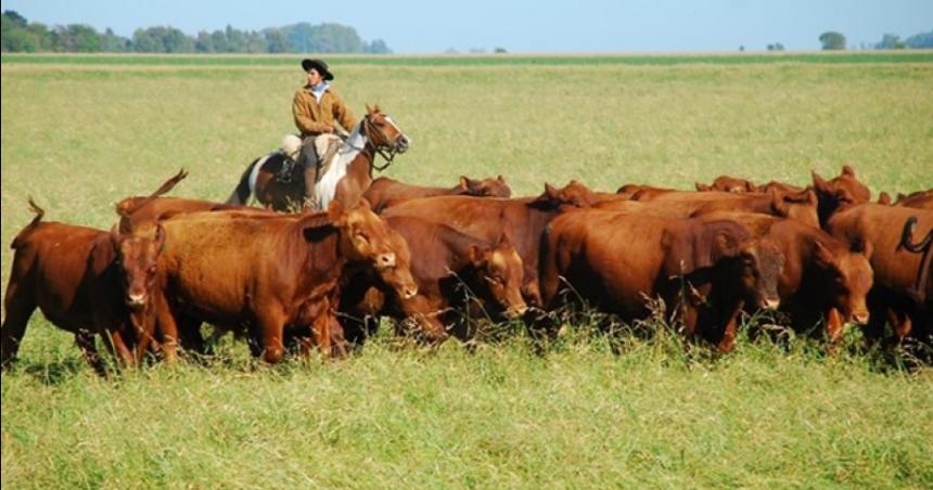 La Pampa recupera su stock ganadero