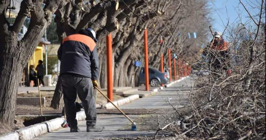 El municipio realizaraacute trabajos de poda en el centro y escuelas