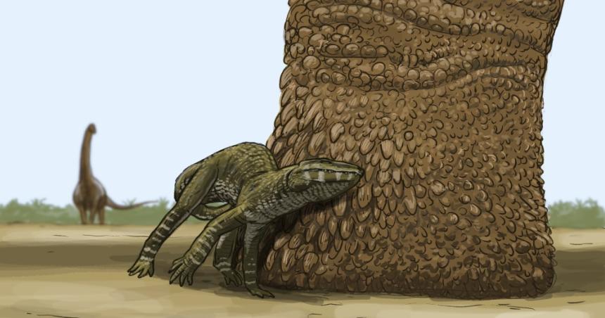 Hallaron huellas de dinosaurios de 95 millones de antildeos en Riacuteo Negro 