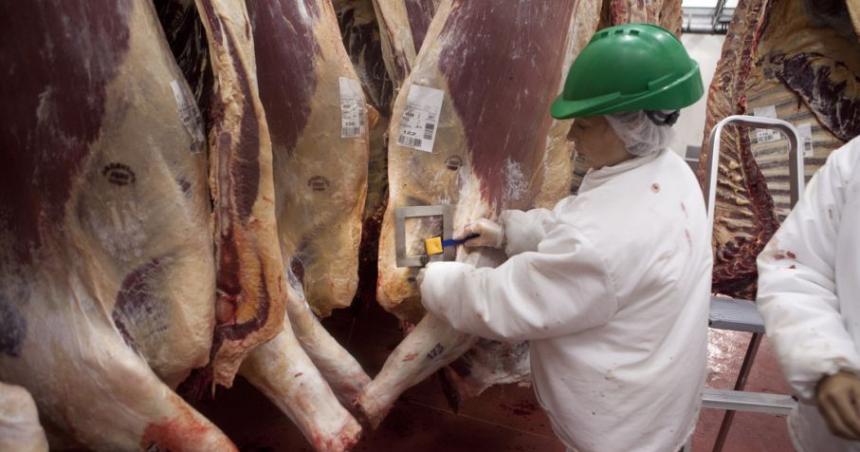 Analistas advierten sobre el impacto en el precio de la carne
