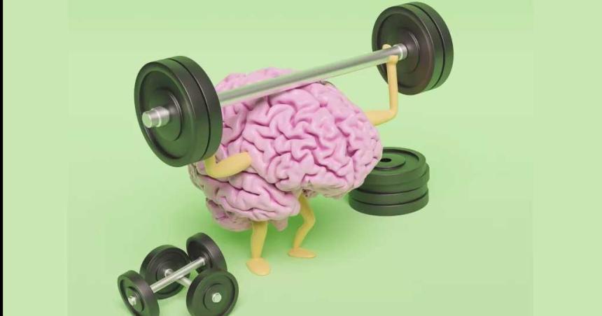 9 haacutebitos para tener un cerebro sano seguacuten los neuroacutelogos