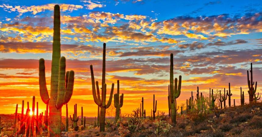 Una regioacuten de Meacutexico superoacute los 80 grados seguacuten la NASA