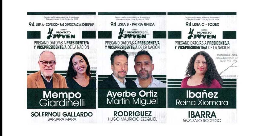 Nueve precandidatos a presidente podriacutean quedarse afuera de las elecciones PASO