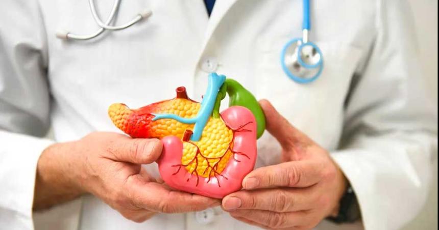 La moleacutecula clave para frenar el caacutencer de paacutencreas en sus inicios