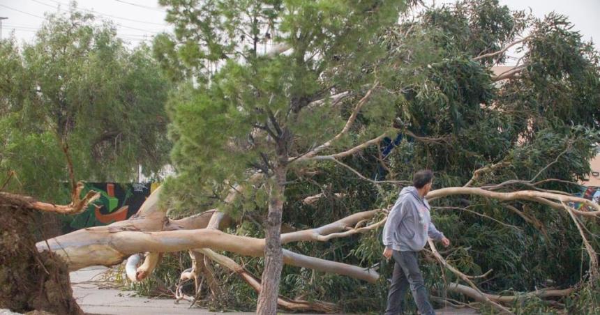 Un fuerte temporal de viento azotoacute a Comodoro Rivadavia