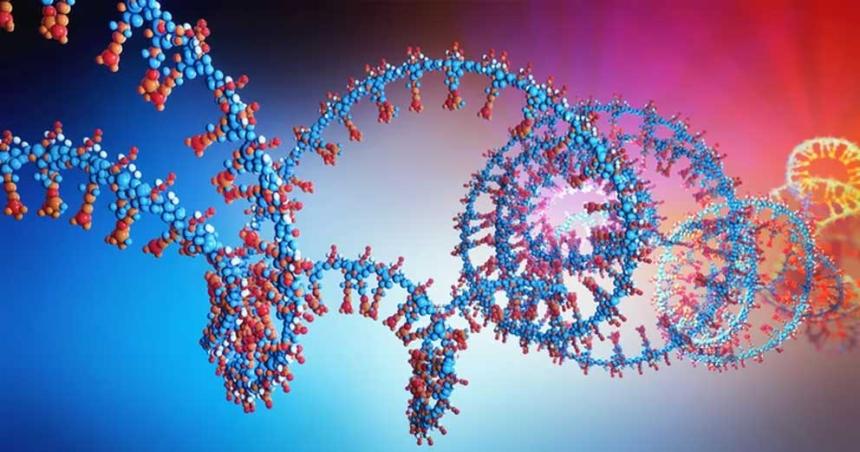 Diacutea Mundial del ARN- su impacto en la medicina moderna