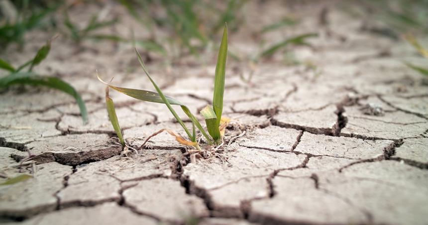 Dos jornadas ponen en el radar el cambio climaacutetico 