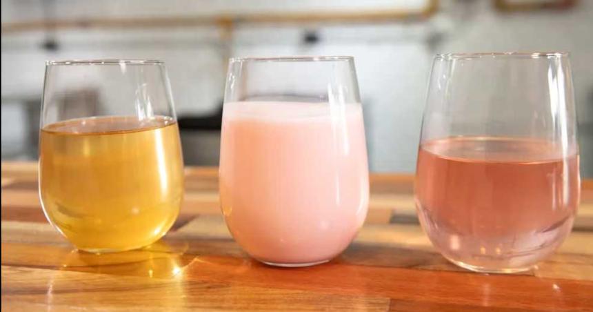 Tres beneficios que aportan los probioacuteticos en la dieta