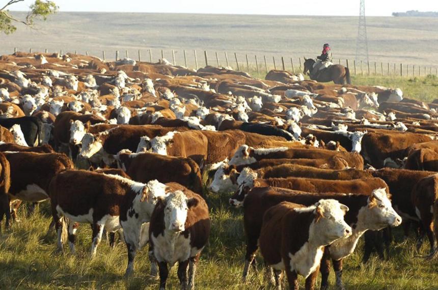 Ganaderiacutea y Agricultura- Viejas respuestas para nuevos problemas 