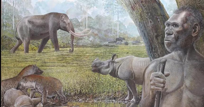 Encontraron foacutesiles humanos que seriacutean de un linaje hasta ahora desconocido