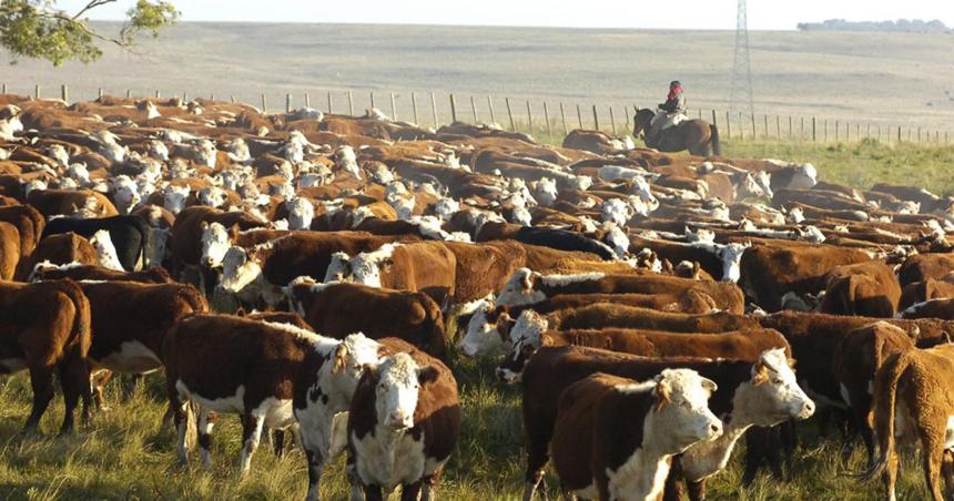 Ganaderiacutea y Agricultura- Viejas respuestas para nuevos problemas 