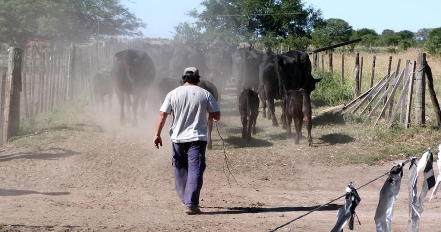 Acordaron aumento de salarios para los trabajadores y trabajadoras rurales
