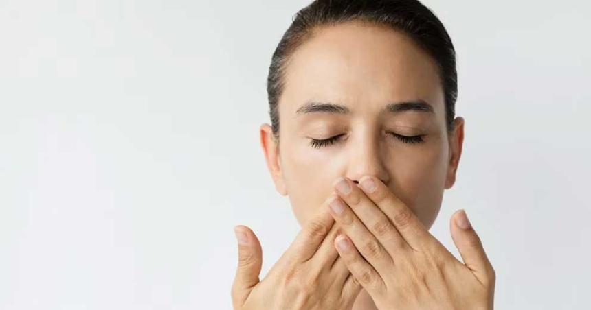 La ciencia proboacute queacute datos se pueden obtener del aroma de las manos