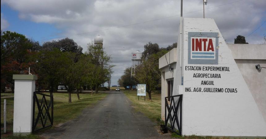 Allanaron el INTA Anguil por venta ilegal de hacienda