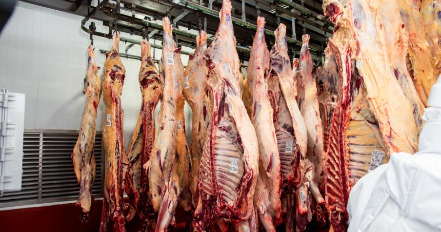 Cinco frigoriacuteficos pampeanos beneficiados con Cuota Hilton