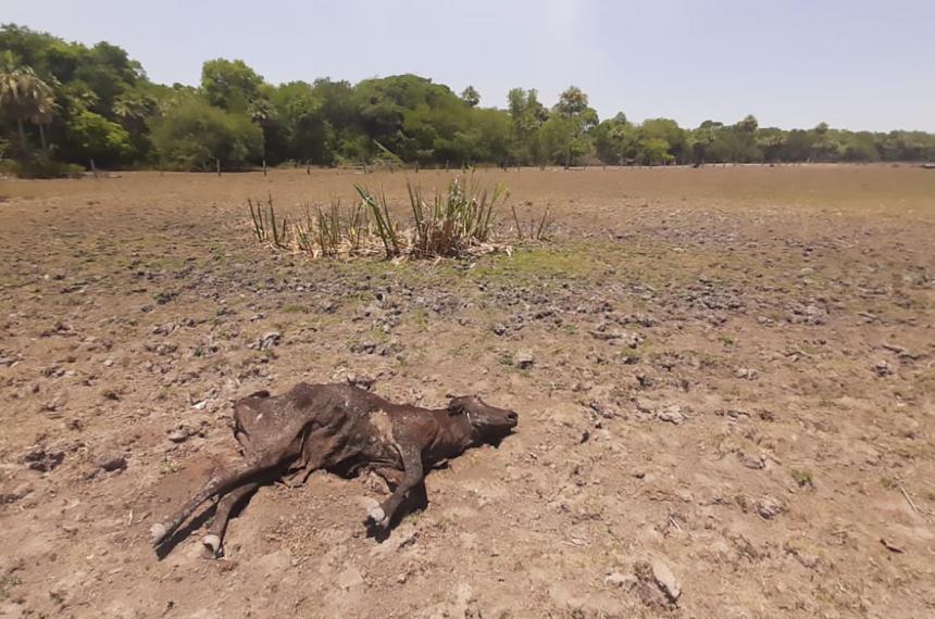 Negar el cambio climaacutetico es un problema