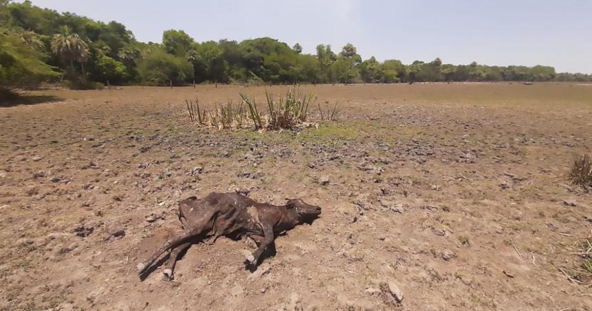 Negar el cambio climaacutetico es un problema