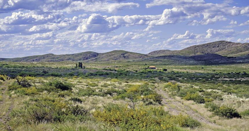 Fin de semana largo- el gasto promedio en La Pampa fue de 14 mil pesos