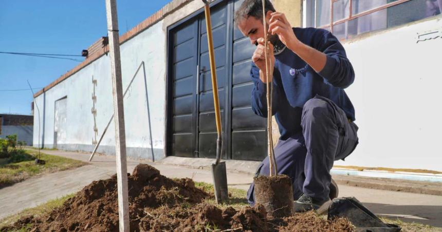 El municipio plantoacute 60 aacuterboles en los barrios Neacutestor Kirchner y 26 de Septiembre
