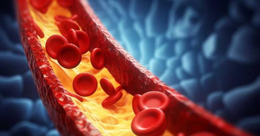 Consejos para controlar el colesterol alto y reducir el riesgo de enfermedades cardiacuteacas 