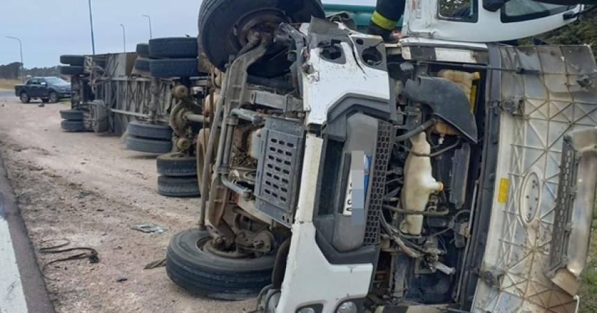 Choque y vuelco de un camioacuten con 31 vacunos 