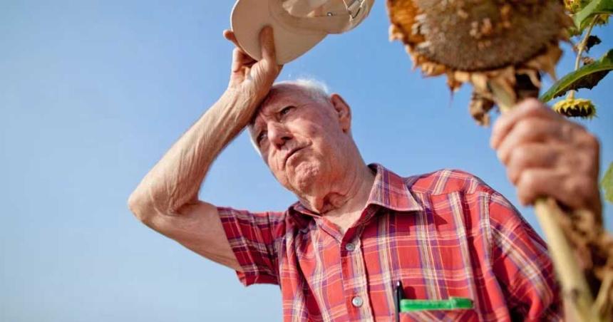 La vejez y el calor pueden ser una combinacioacuten mortal- Consejos para mantenerse seguro