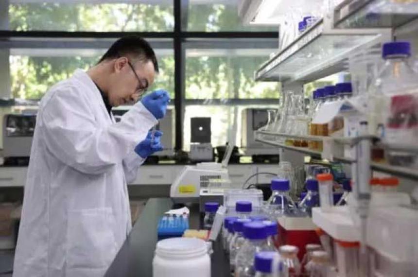 Cientiacuteficos chinos logran sintetizar azuacutecar a partir de CO2