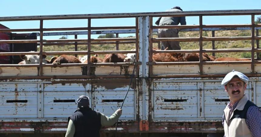 En Bariloche piden no tocar la barrera sanitaria