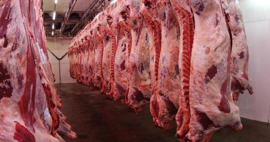 Carne en Riacuteo Negro- precios por las nubes y criacuteticas a la barrera sanitaria